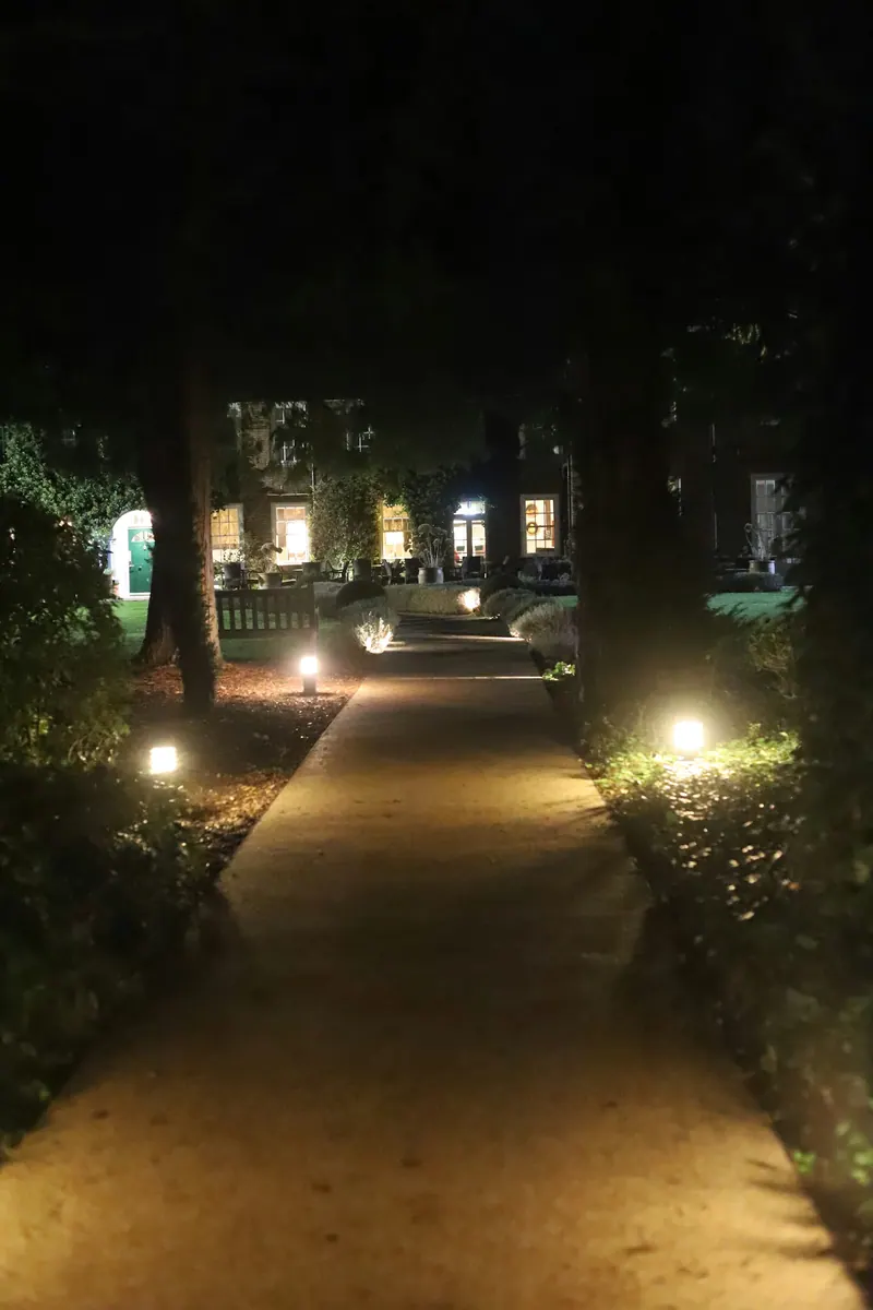 Garden Lighting Transformation, detail 2.