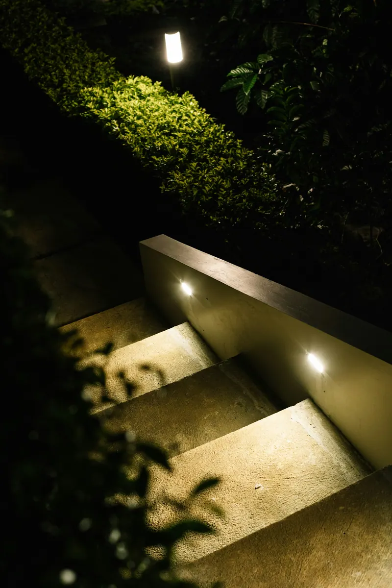 Garden Lighting Transformation, detail 3.