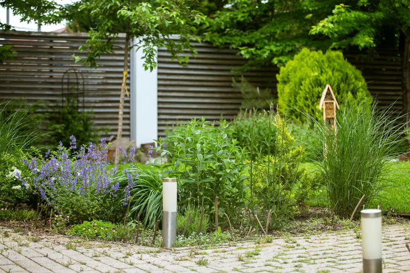 A planted border along a slatted fence, with grasses, perennials and low path lights beside a paved walk.