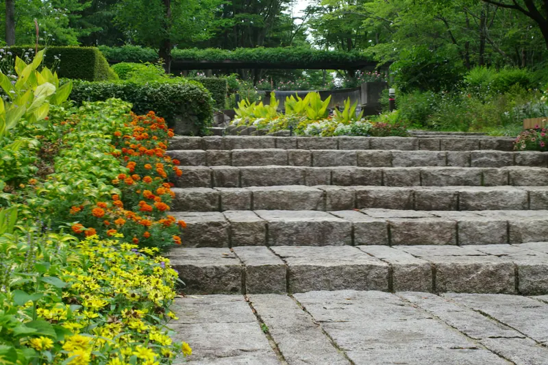 Broad stone steps rising through planted beds toward a clipped hedge and mature trees.